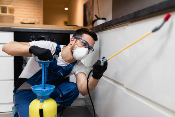 Best Ant Control Services  in Ainaloa, HI