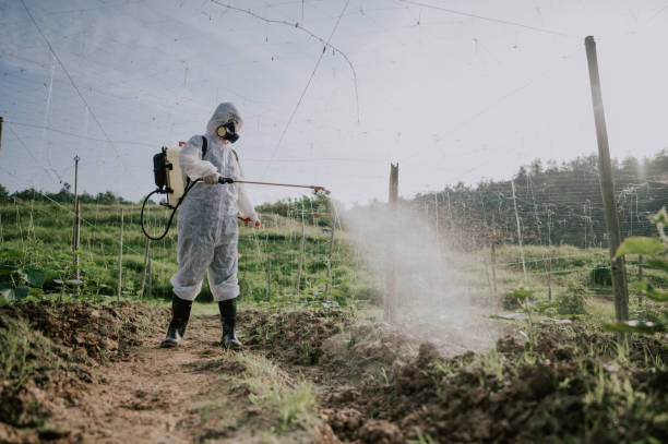 Best Mosquito Control Services  in Ainaloa, HI