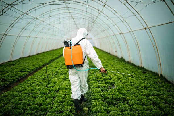 Best Best Pest Control Companies  in Ainaloa, HI