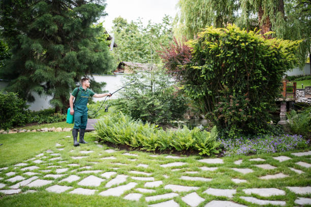 Best Commercial Pest Control Services  in Ainaloa, HI