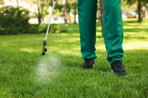 Best Local Pest Control Services  in Ainaloa, HI