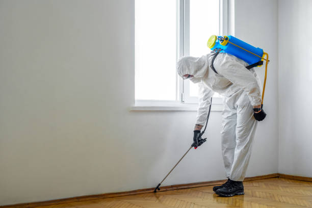 Best Exterminator Services  in Ainaloa, HI