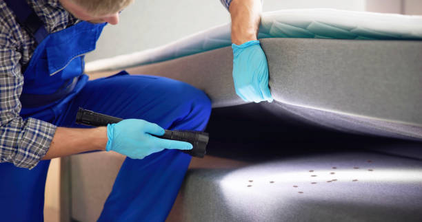 Best Emergency Pest Control  in Ainaloa, HI