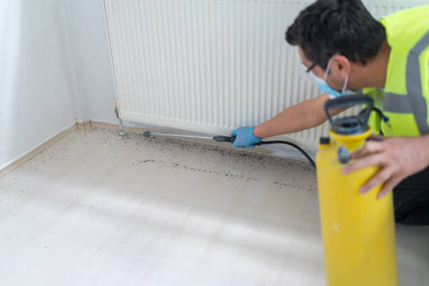 Best Mosquito Control Services  in Ainaloa, HI
